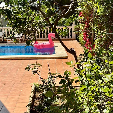 Rosa Vila
